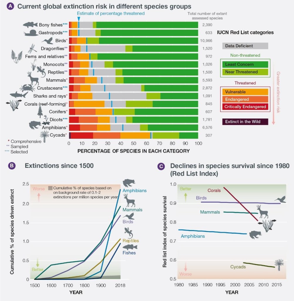 Ecological emergency - EcoTracker